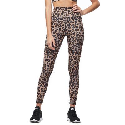 China OEM Waist Sport Gym Activewear Anti-Static Workout Leggings Women Top Leopard Printed Leggings for sale