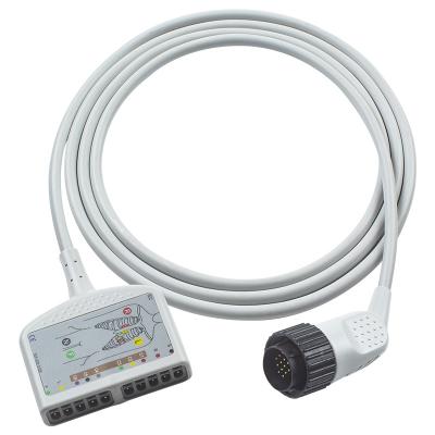 China 16 pin compatible con el cable de tronco del EKG de Kenz IEC/AHA para pacientes adultos y pediátricos en venta