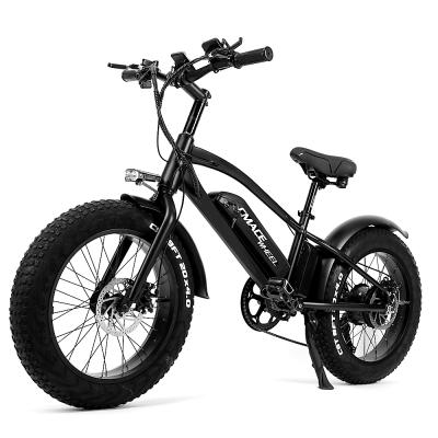 China Standard High Quality Fat Tire 750W Foldable Powered Electric Bicycle Bike With Battery for sale