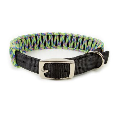 China Paracord Stocked Weave Nylon Dog Collar for sale