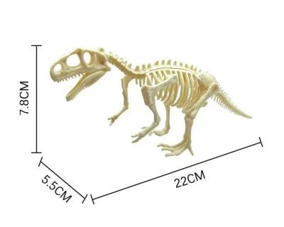 China Dinosaur skeleton Archaeology Pieced together dinosaur fossil skeleton Tyrannosaurus Rex Stegosaurus Ceratosaurus supratosaurus 002 for sale