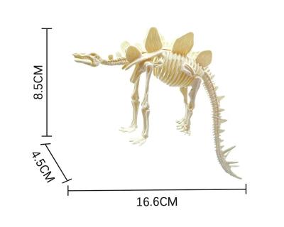 China Dinosaur Skeleton Archeology Collected Dinosaur Tyrannosaurus Rex Stegosaurus Ceratosaurus Fossil Skeleton Supratosaurus 002 for sale