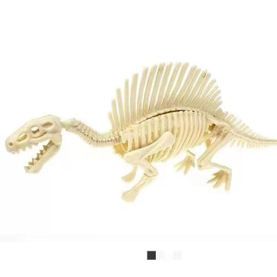 China Dinosaur Toys Skeleton Dinosaur Archeology Collected Dinosaur Tyrannosaurus Rex Stegosaurus Ceratosaurus Fossil Skeleton Supratosaurus for sale