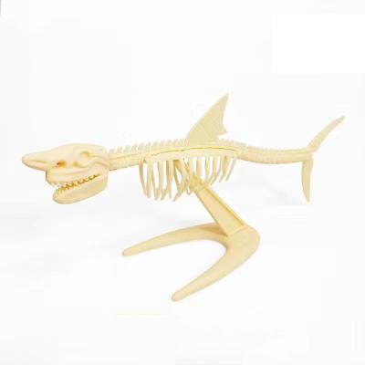 China Dinosaur Skeleton Archeology Collected Dinosaur Tyrannosaurus Rex Stegosaurus Ceratosaurus Fossil Skeleton Supratosaurus 002 for sale