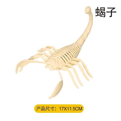 China Dinosaur Skeleton Archeology Collected Dinosaur Tyrannosaurus Rex Stegosaurus Ceratosaurus Fossil Skeleton Supratosaurus 002 for sale