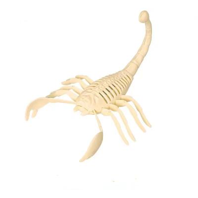 China Dinosaur Skeleton Archeology Collected Dinosaur Tyrannosaurus Rex Stegosaurus Ceratosaurus Fossil Skeleton Supratosaurus 002 for sale