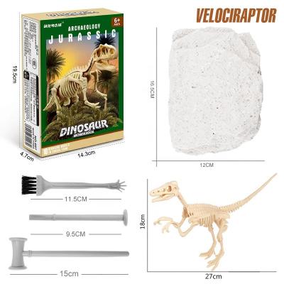 China Wholesale Custom Cheap High Quality Hard Fossil Standard Plaster Dinosaur Archaeological Toy for sale