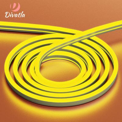 China Divatla 12V Durable Glue Free Neon Light Neon Strip Light Flexible Strip Light for sale