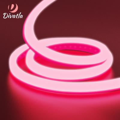 China Affordable Neon Sign DIVATLA LED Strip Neon Light Flexible LED Strip 12V Neon Light PVC for sale