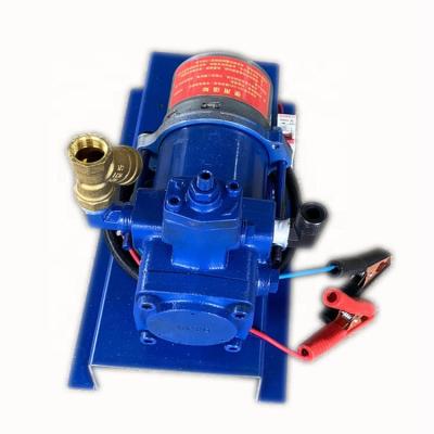 China Mini 12v long life dc transfer battery lpg motor pump for sale