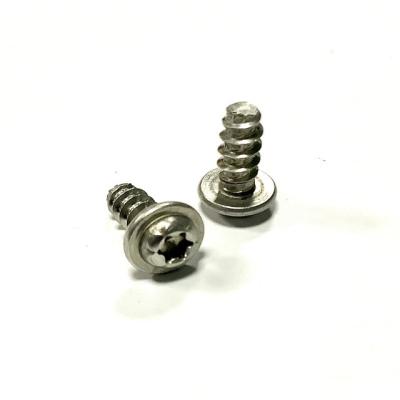 China Pan Guangdong Hot Sale Screw Pan Head Torx Self Tapping Flat Shank Wood Screws Stainless Steel for sale