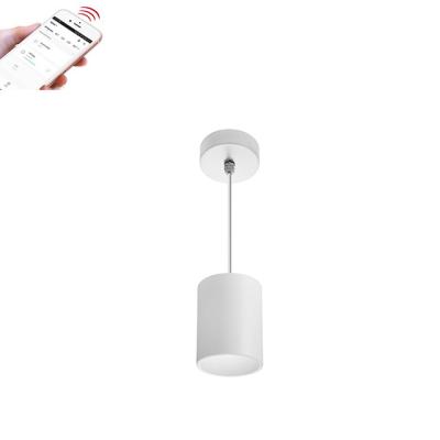 China Modern SZDAYTON Lighting IP65 Master D Series Pendant Downlight Zigbee Tuya Intelligent Lighting Outdoor 10W 15W 20W 30W 40W for sale