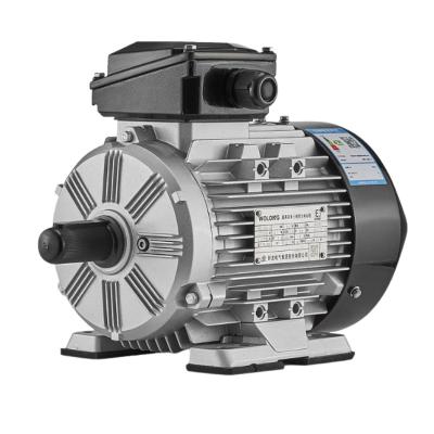 China Totally Enclosed Wolong WE3 Series 3 Phase Asynchronous Electric Motor with IE3 IE4 IE5 Efficiency Certificates for Industrial Equipment for sale