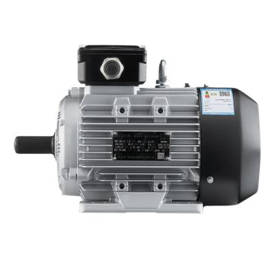 China Wolong YE3 series totally enclosed three phase asynchronous electric motor with efficiency certificates of IE3 IE4 IE5 for industrial equipment for sale