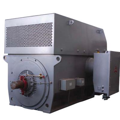 China Totally Enclosed Wolong YZXKK 6KV 10KV 160KW-5000KW Explosion Proof Three Phase Asynchronous AC Motor with ATEX Certification for Hazardous Area for sale