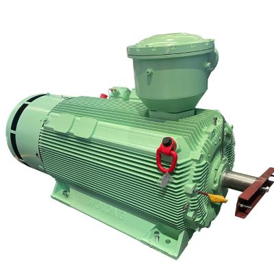 China Wolong YBX3 Explosion Proof High Voltage Explosion Proof Three Phase AC Motor with ATEX IECex Certification for Hazardous Area for sale