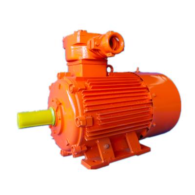 China Wolong YBK3 Explosion Proof Explosion Proof Ex-DI Three Phase Asynchronous AC Motor With ATEX IECex Certification For Coal Mine for sale