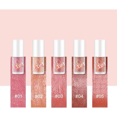 China Wholesale OEM Makeup Product Waterproof Cosmetic Lip Gloss Lip Tint Long Lasting Faces And Natural Cheek Velvet Lip Tint Set for sale