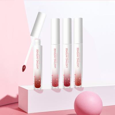 China Private Label Beauty Cosmetics Makeup Waterproof Lip Gloss Waterproof Long Lasting Pigment Matte Lipgloss Custom Made for sale