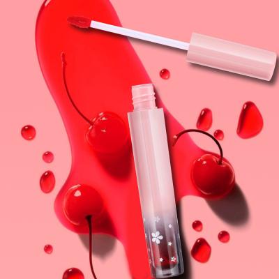 China High Quality Wholesale OEM Product Color Lip Gloss Waterproof Moisturizing Lasting Shiny Makeup Lip Gloss for sale