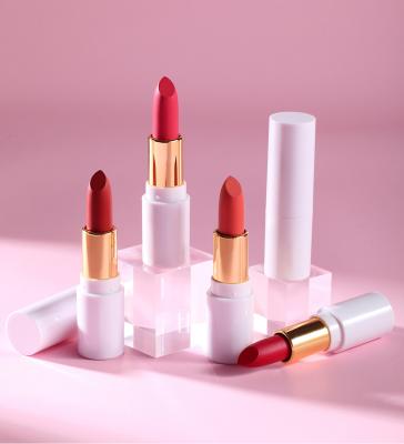 China Best Waterproof Constant Make Up Silky Full Coverage Matte Lipstick Waterproof Moisturizing Cosmetics Lipstick for sale