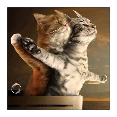 China Abstract Store Crystaltwo Online High Quality Cat Painting Elegant Decoration Pictures For Home Office School Wall Paintings for sale