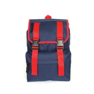 China 2016 Hot Selling Polyester Junior School Unisex Backpack for sale