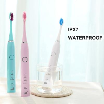 China Effectively Maintains Oral Health Professional Oral Care Factory Battery Power Vibrate Automatic Sonic Electric Toothbrush for sale