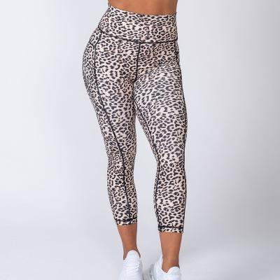 China Breathable New Arrivals Private Label Women's Active Fitness Wear Yoga Leopard Print Crac! crack! butt gaiters sportswear gaiters for sale