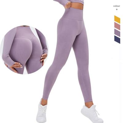 China Antibacterial Yoga Leggings Solid-color High Waist Butt Push Up Seamless Leggings For Women Yoga Pants for sale