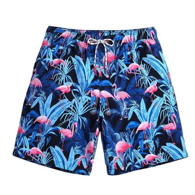 China Bestselling Plus Size Quick Dry Plus Size Men Swimwear Casual Sportswear for sale