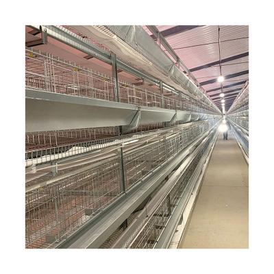 China Poultry Farms Layer Automatic Pullet Baby Chicks Pullet Cage A Type Chicken Raising Cage For Day Old Chicks Layer for sale