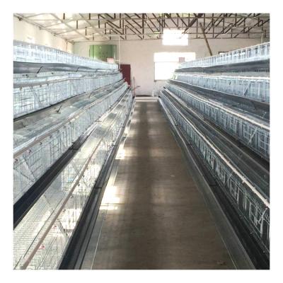 China Layer Chicken Farming Poultry Layers Equipment Manufacturers Design For 10000 Layer Chicken Cages for sale