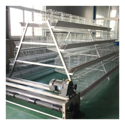 China Layer Chicken Farming One Type Automatic Battery Chicken Layer Cage System Poultry Farming Equipment for sale