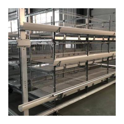 China Poultry Farms Layer Chicks Pullet Cage Chicken Cage Layers Factory For Professional 20000 Farm Design for sale