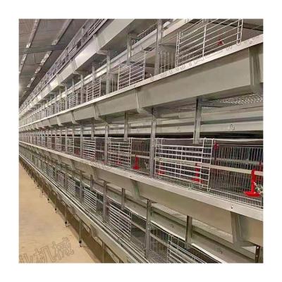 China Poultry Farms Layer Chicks Pullet Cage Factory Wholesale Type Rooster Chicken Cage Poultry Farm Stacking Poultry Cage for sale