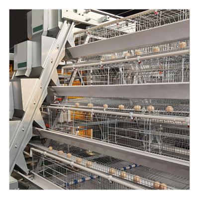 China layer chicken farm price H type good automatic egg layer chicken farm laying hens poultry battery cages for sale for sale