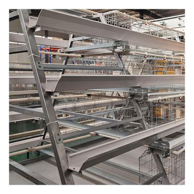 China Layer Chicken Farming Equipment Layer Chicken Battery Cage Poultry Farm Automated System For Poultry for sale