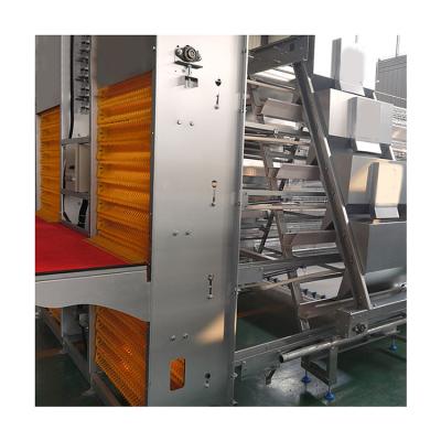 China layer chicken farm price H type good automatic egg layer chicken farm laying hens poultry battery cages for sale for sale