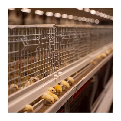 China Poultry Farms Lay Day-old Chicks Layer Cultivator Chick Battery Brooder Cage For Automatic Baby Chicks Pullet Cage for sale