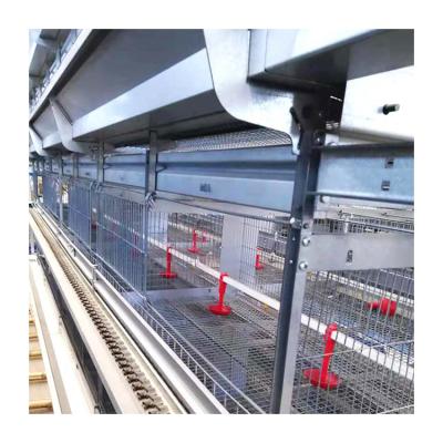 China Poultry Farms Layer Chicks Pullet Cage Directly Supply Automatic Pullet Chicken Farm Equipment H Type Cage for sale