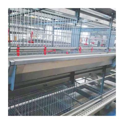 China Poultry Farms Laying Chicks Pullet Cage Pullets Raising Cage Equipment for Poultry Farm Chicken House Shed for sale