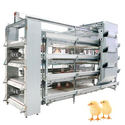 China Poultry Farms Layer Automatic Chicks Pullet Cage China Factory Manufacture H Type Pullet Raising Chicken Cage For Layers for sale