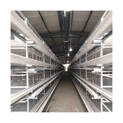 China Poultry Farms Layer Chicks Pullet Cage Hot Sale Galvanized Automatic H Type Rooster Chicken Cages Layer Poultry For Farm Equipment for sale