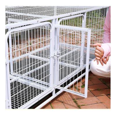 China Large Oem New High Quality Design Pet Shop Manufacturer Luxury Pigeons Cages for sale