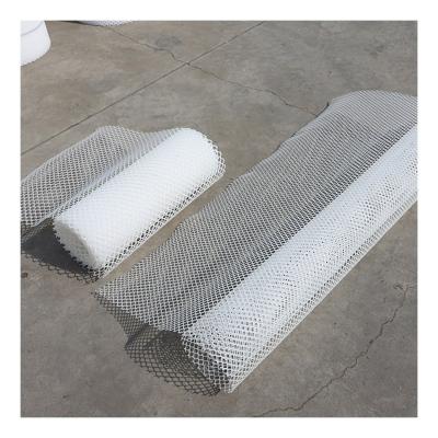 China Hot Selling PP Plastic Chicken Wire Mesh / Plastic Farm Flat Plastic Nets for sale