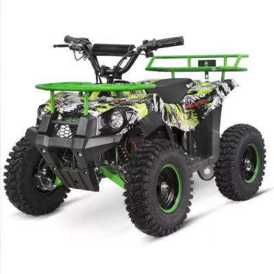 Chine Kids Electric ATV 36V 800W 1000W Mini Atvs for Kids Mini Quads for Kids à vendre