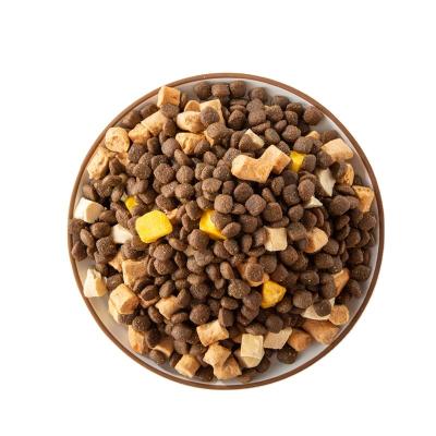 China Sustainable Delicious Favor Pet Food Cat Treats Bulk Dry Cat Food for sale