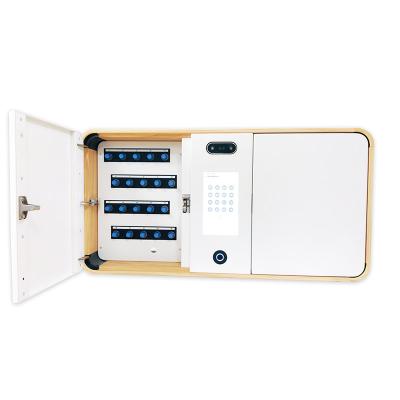 China Android Security System 709mm * 364mm * 160mm Economical Wall Mounted High Level Fingerprint Smart Key Cabinet for sale