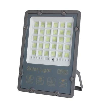 China 2021 Outdoor Garden Supply Sensor Latest Factory Solar Led Lights for sale